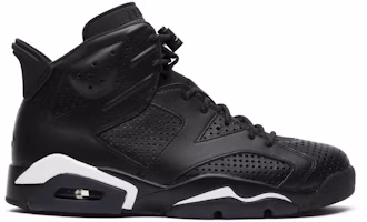 Air Jordan 6 Retro 'Black Cat' 384664-020 Air Jordan 6 Retro 'Black Cat' 384664-020