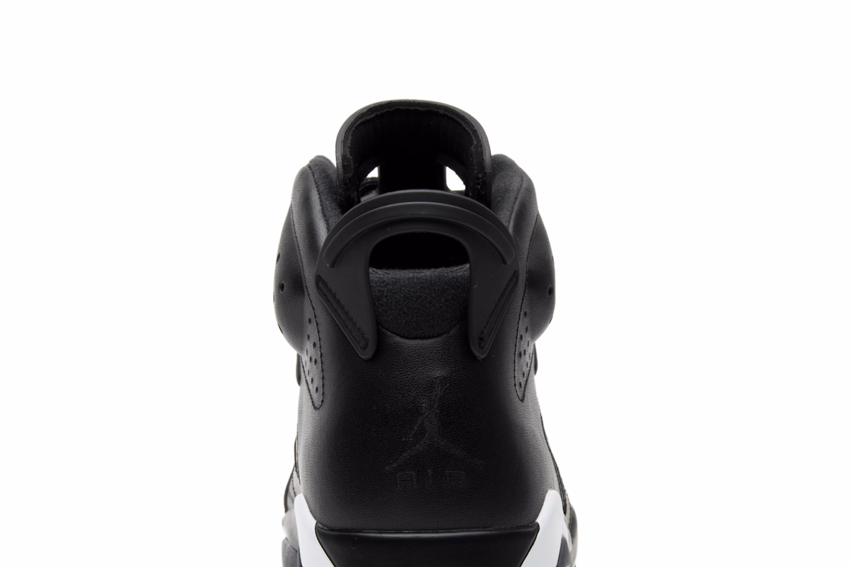 Air Jordan 6 Retro 'Black Cat'