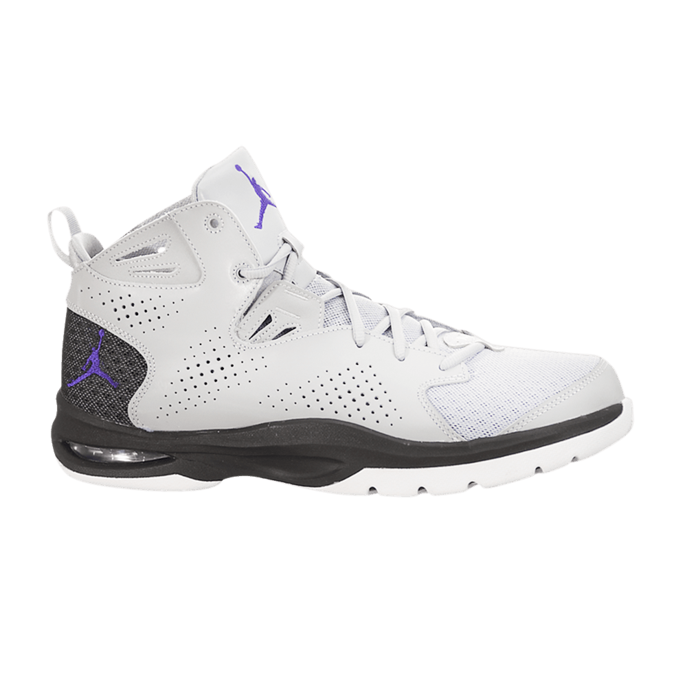 Jordan Ace 23 II 'Wolf Grey Dark Concord'