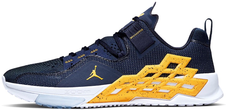 air-jordan-alpha-360-tr-michigan