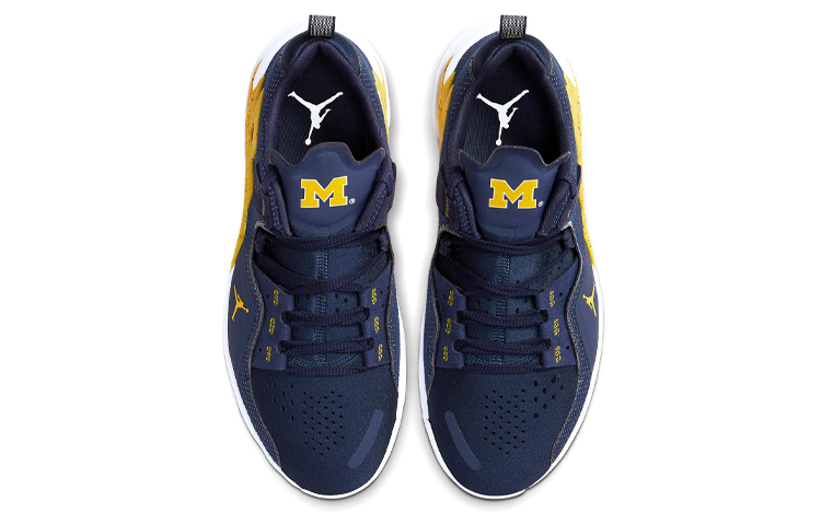 Shop Air Jordan Alpha 360 TR 'Michigan' CQ6425-417