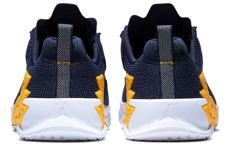 Purchase Air Jordan Alpha 360 TR 'Michigan' CQ6425-417