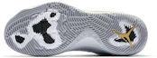Details for Air Jordan CP3.X AE '美国' 897507-107