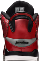 Sizing Air Jordan Dub Zero 'Toro Bravo' 311046-600(紅色公牛)