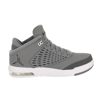 Jordan Flight Origin 4 'Cool Grey'