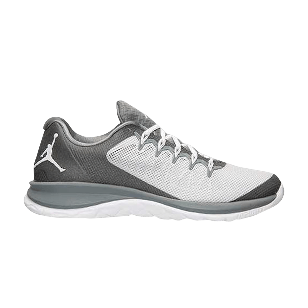 Air Jordan Flight Runner 2 'Cool Grey' 715572-003