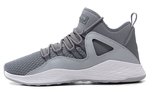 Air Jordan Formula 23 Wolf Grey 881465-024