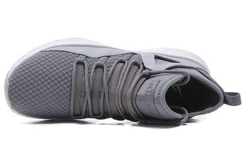 Order Air Jordan Formula 23 Grigio Lupo 881465-024