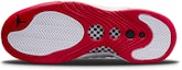 Details for (JR) Air Jordan Jumpman Pro 'Putih Merah' DQ8436-100