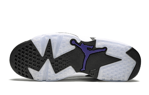 Shop Air Jordan Retro 6 Gris Flint CL3125-100