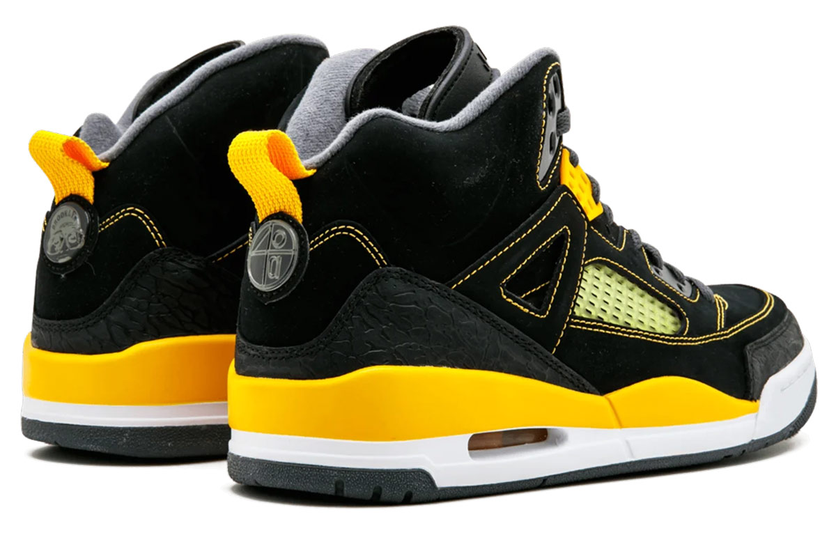 Purchase エアジョーダンスパイジーク "黒×ユニバーシティゴールド" 315371-030