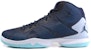 Air Jordan Super.Fly 4 'Biru' 768929-423