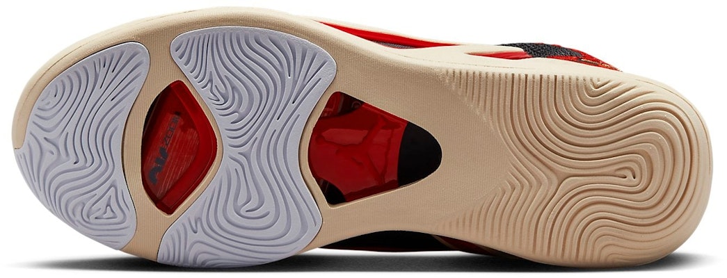 Air Jordan Tatum 1 PF 'Zoo' Zapatillas Deportivas DX6734-001 Details for Air Jordan Tatum 1 PF 'Zoo' Zapatillas Deportivas DX6734-001