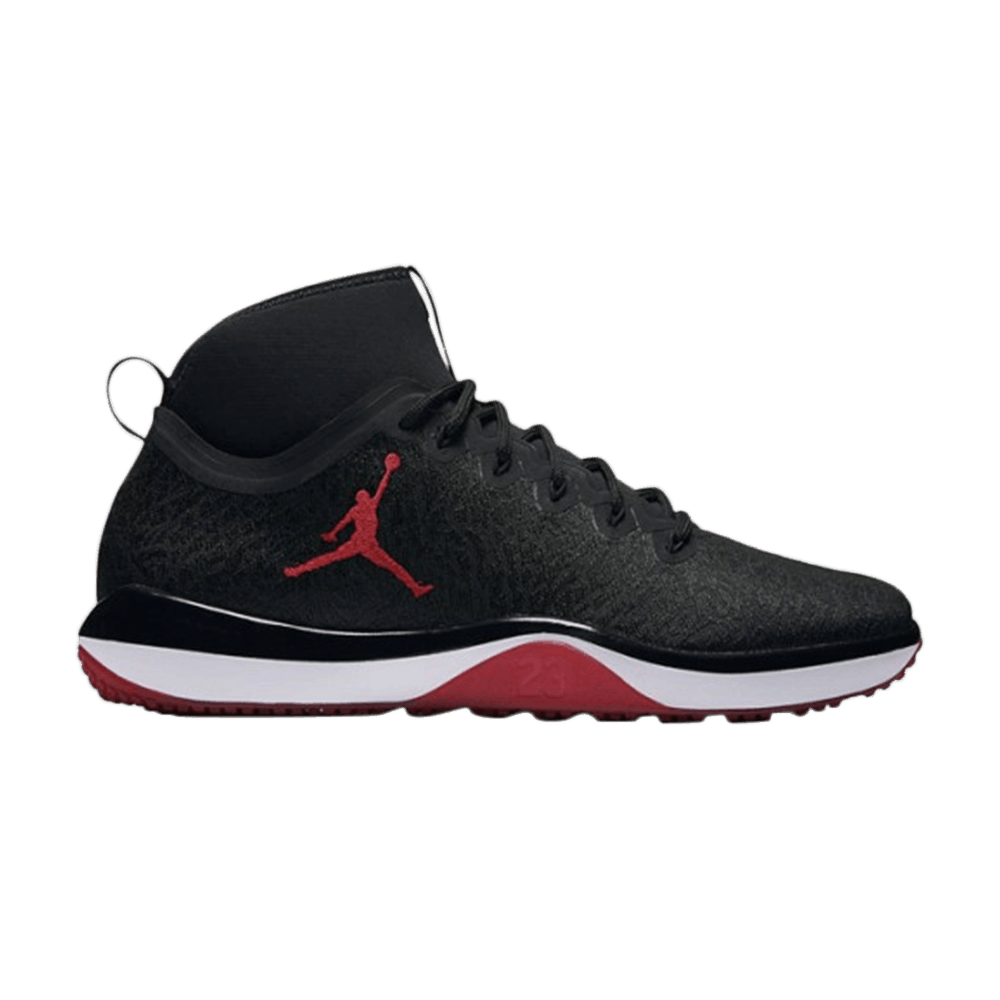 Air Jordan Trainer 1 'Black' 845402-001