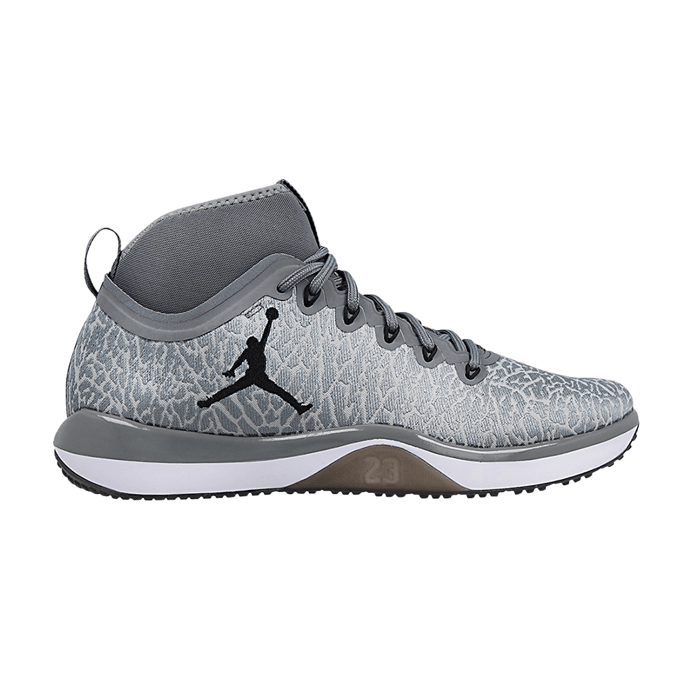 Air Jordan Trainer 1 'Grey' 845402-002