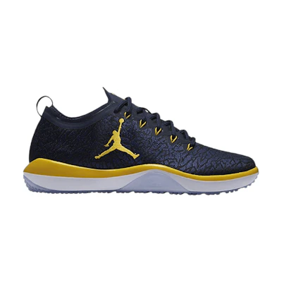 Jordan Trainer 1 Low 'Michigan Woverines'