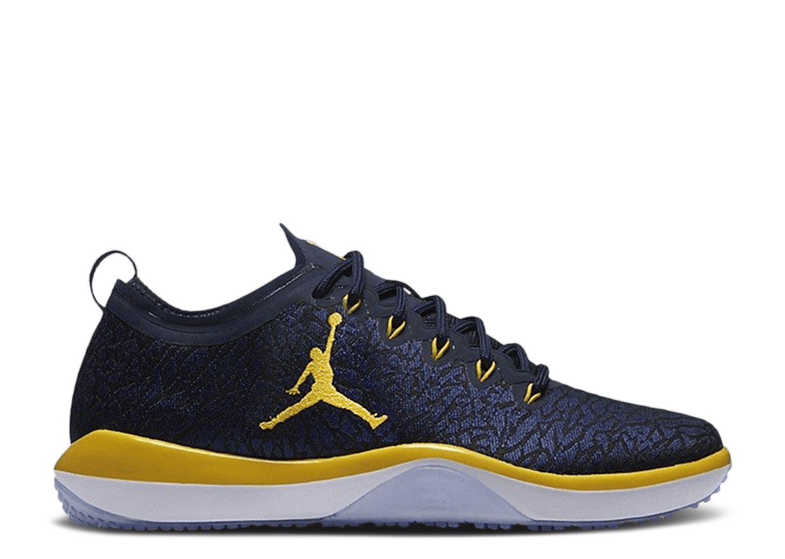 Air Jordan Trainer 1 Low 'Michigan Woverines' 845403-415