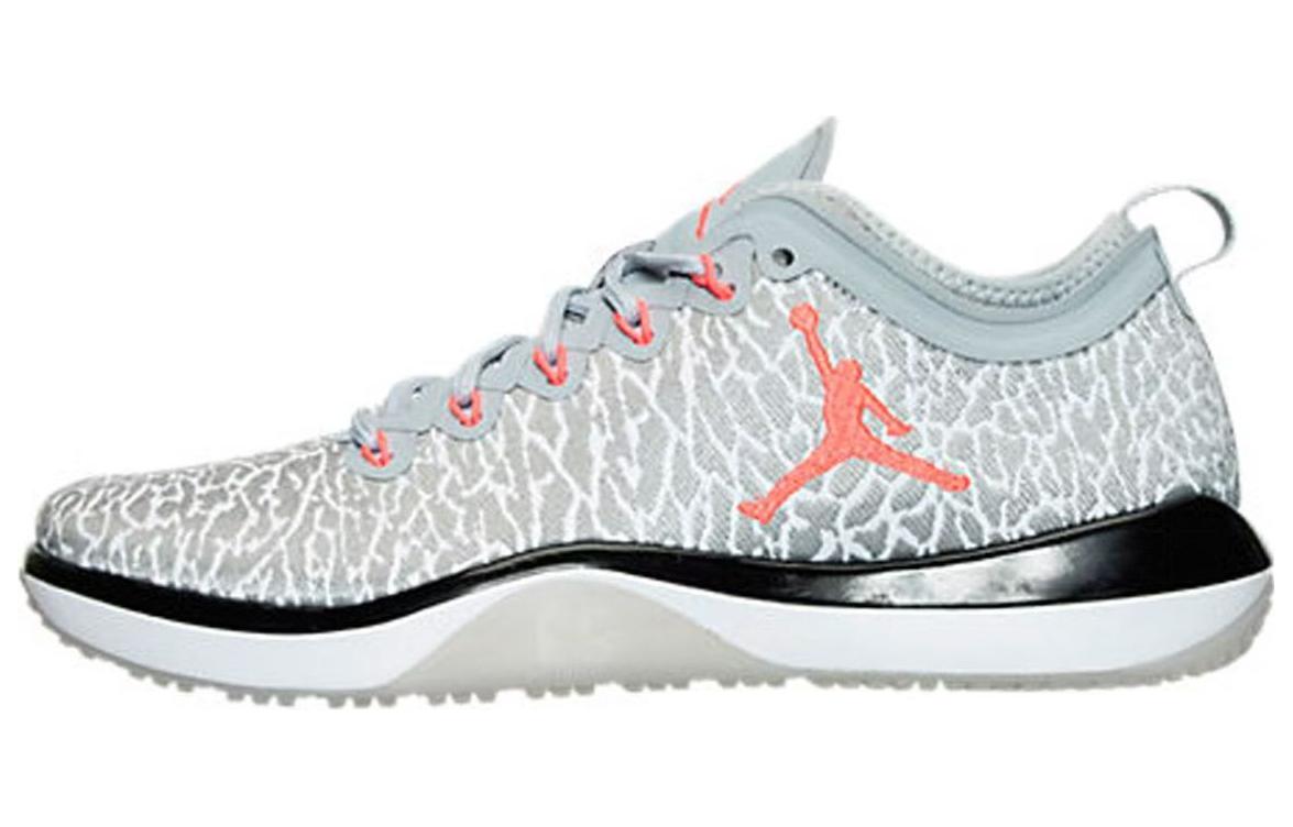 Air Jordan Trainer 1 Low 'Wolf Grey' 845403-103