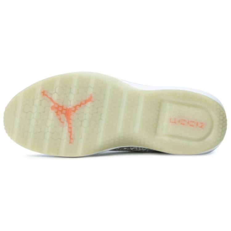 Details for Air Jordan 訓練師 1 低幫 '狼灰' 845403-103