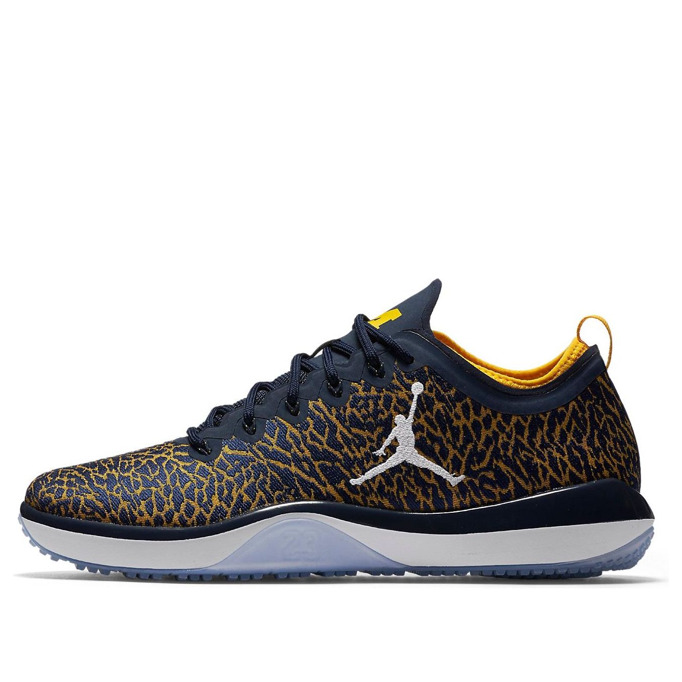 Air Jordan Trainer 1 Low Michigan 845403-420