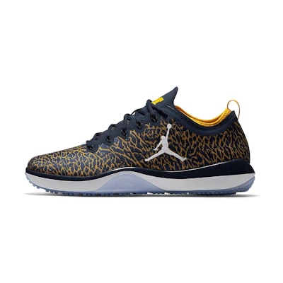 Jordan Trainer 1 Low Michigan