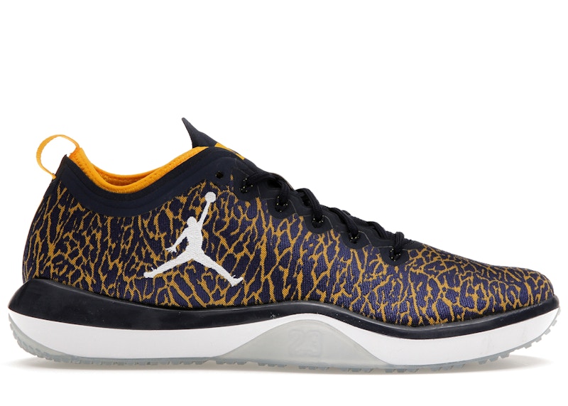 Air Jordan Trainer 1 Low Michigan 845403-420