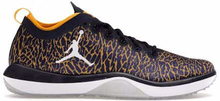 Air Jordan Trainer 1 Low Michigan 845403-420 Air Jordan Trainer 1 Low Michigan 845403-420