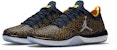 Air Jordan Trainer 1 Low Michigan 845403-420