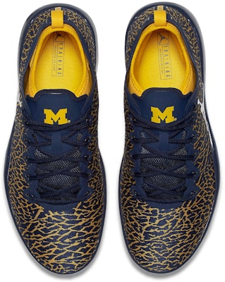 Air Jordan Trainer 1 Low Michigan 845403-420 Shop Air Jordan Trainer 1 Low Michigan 845403-420