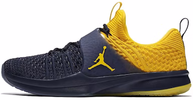 Air Jordan Trainer 2 Flyknit 'Michigan' 921210-407 Air Jordan Trainer 2 Flyknit 'Michigan' 921210-407