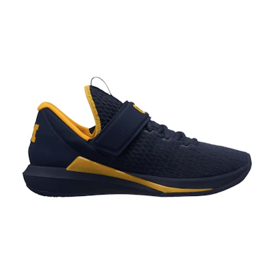 Jordan Trainer 3 'Michigan'