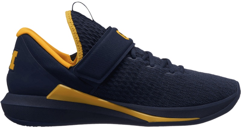 Air Jordan Trainer 3 'Michigan' AR1390-400