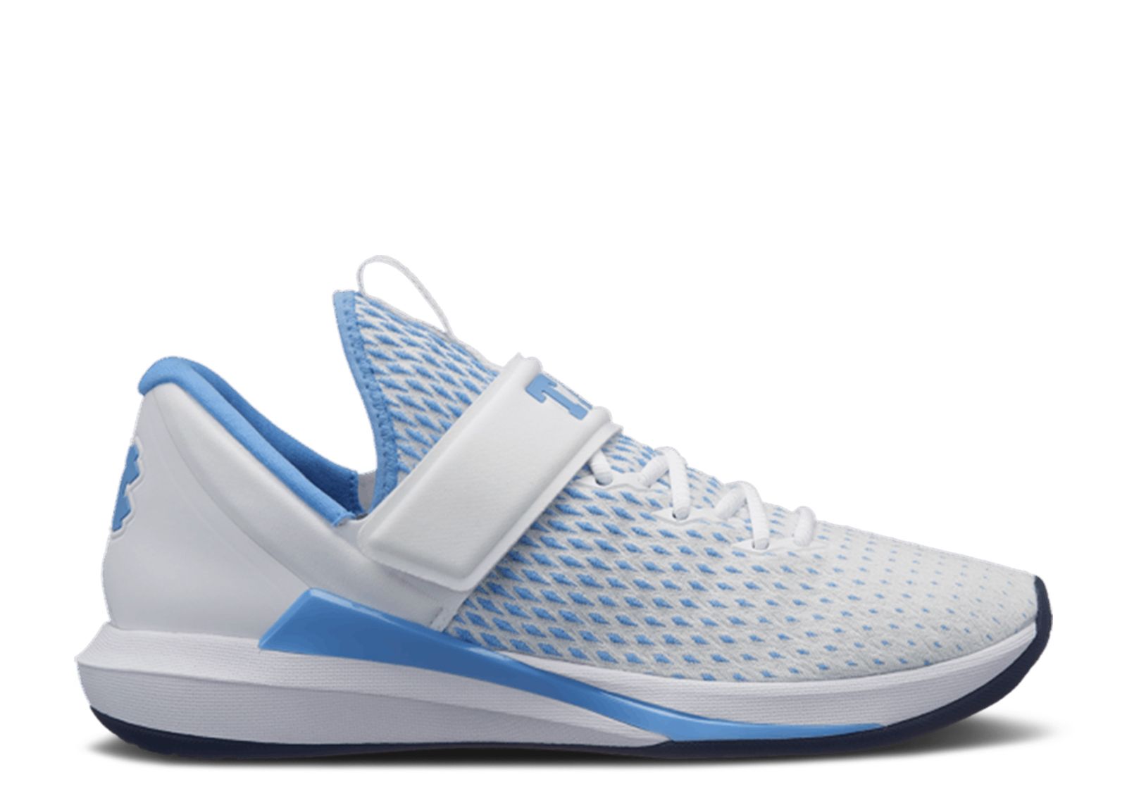 Air Jordan Trainer 3 'UNC Tar Heels' AR1391-100