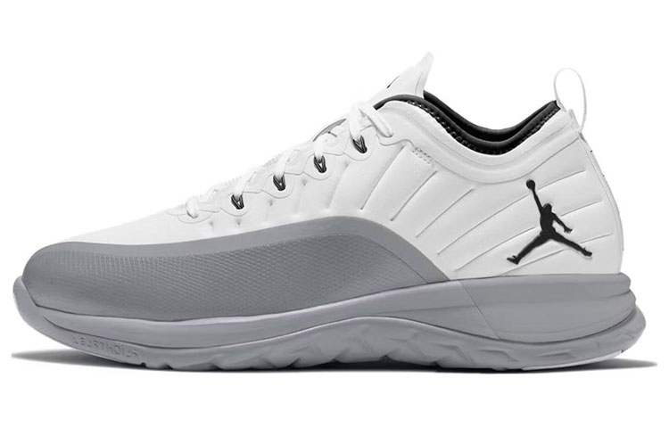 Air Jordan Trainer Prime White Wolf Grey 881463-103