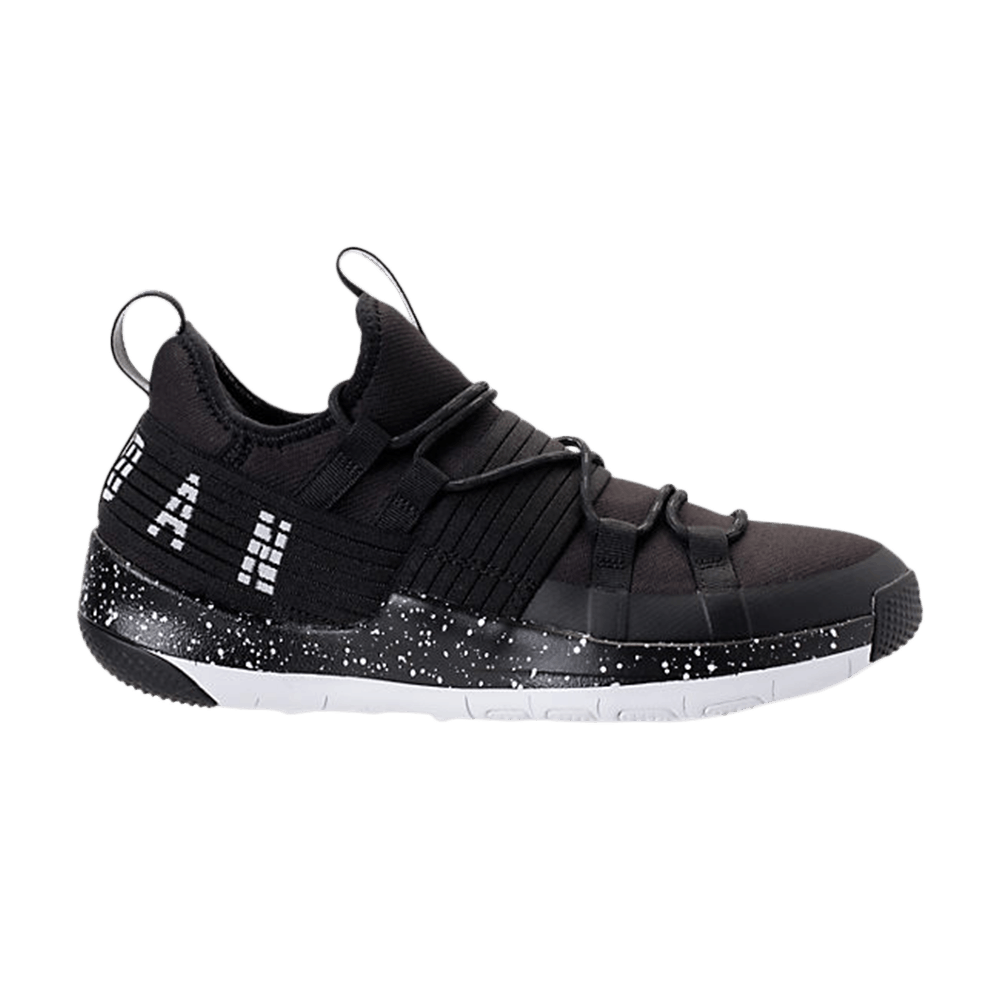 Air Jordan Trainer Pro 'Black' AA1344-010