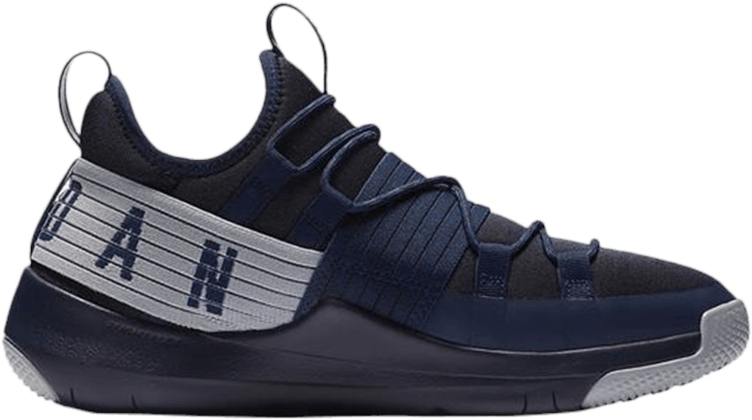 air-jordan-trainer-pro-midnight-navy-aa-1344-401