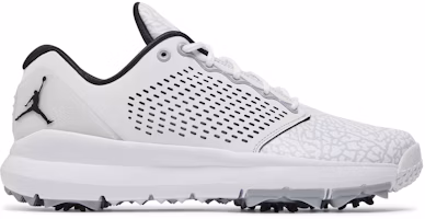 Air Jordan Trainer ST G White Wolf Grey AH7747-100 Air Jordan Trainer ST G White Wolf Grey AH7747-100
