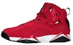 Buy Air Jordan True Flight 'Gym Red' Merah Sukan 342964-620