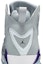 Sizing Air Jordan True Flight 'Kelabu Serigala Ungu' 342964-051