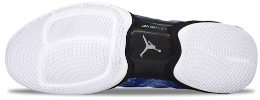 Air Jordan XX8 藍色迷彩 584832-401 Shop Air Jordan XX8 藍色迷彩 584832-401