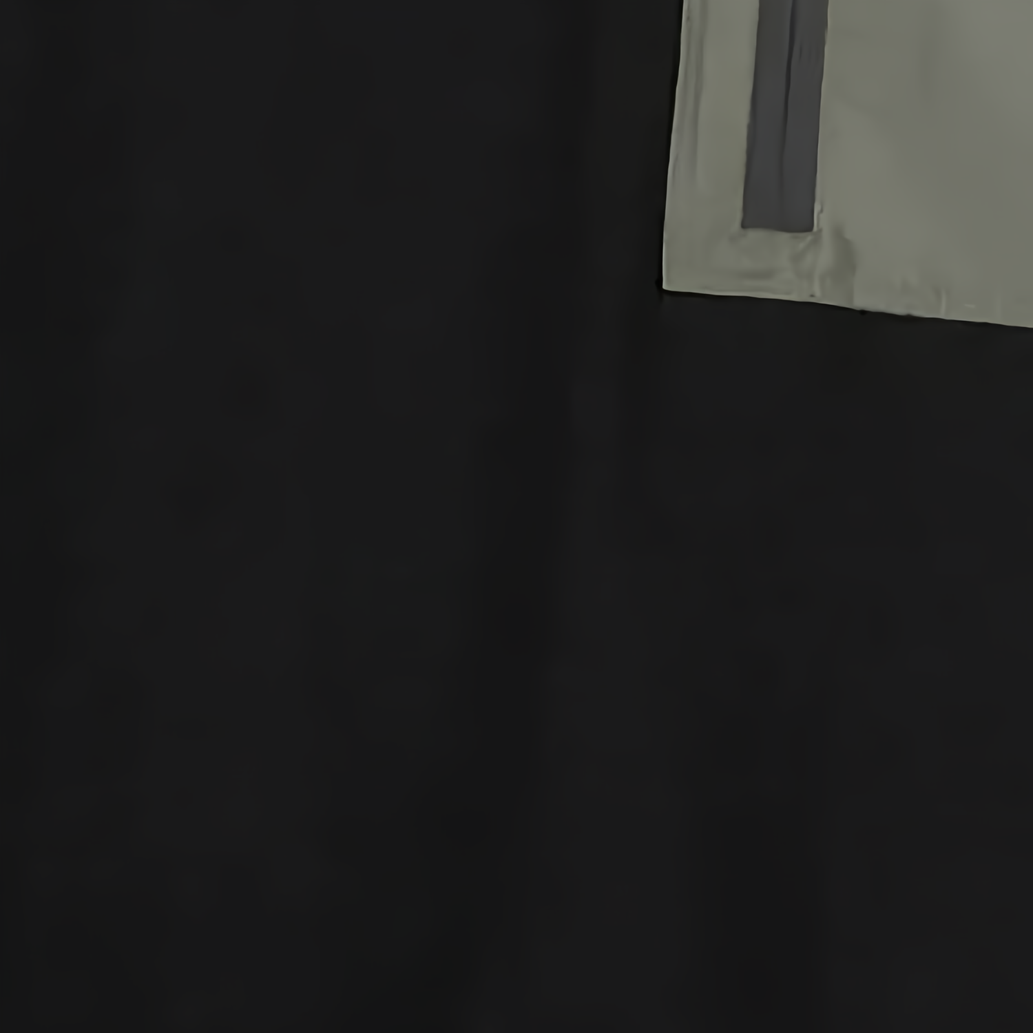 Shop Alexander McQueen FW23 寬鬆拉鍊套頭圓領衫 黑色 754561-QVX43-1000