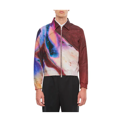 Alexander McQueen Multicolor Zip-Up Jacket with Colorblock Design 750332-QVR89-5475
