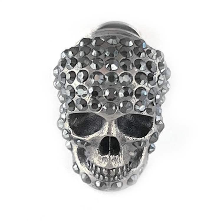 Alexander McQueen Skull Design Silver Earrings for Men 705806-I94VY-1572