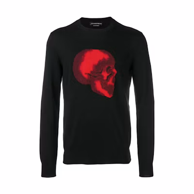 Alexander McQueen Skull Pullover Hoodie Black 560568-Q1WUU-1021