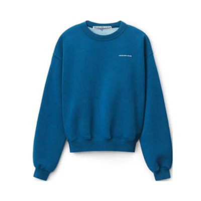 Alexander Wang FW22 Blue Logo Print Pullover Crewneck Sweatshirt Unisex UCC2221530-415