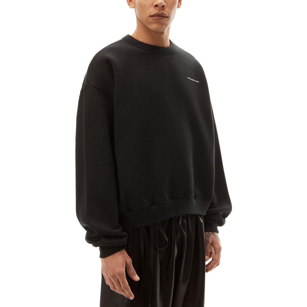 Purchase 알렉산더 왕 FW22 벨루어 로고 크루넥 풀오버 유니섹스 블랙. UCC2221530-001