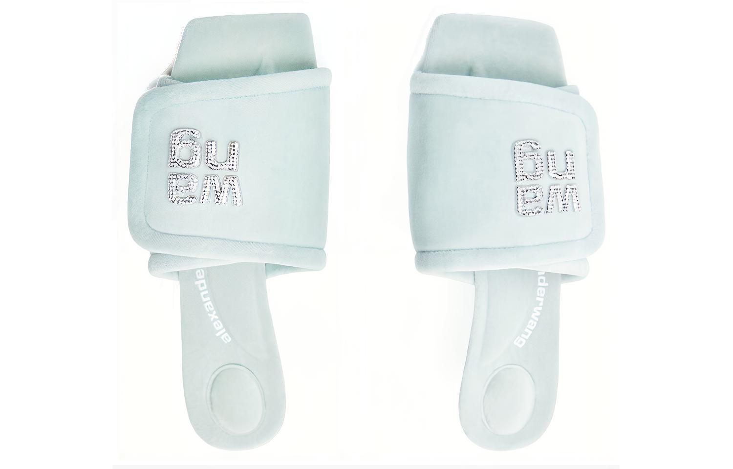 Alexander Wang Jessie 'Blue Logo Thick-Heel Sandals' 圖 4