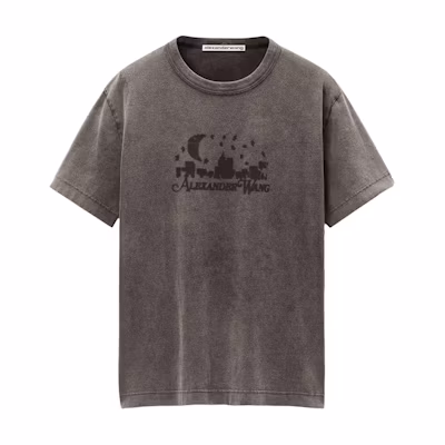 Alexander Wang Skyline Graphic Washed Carbon Grey Oversized T-Shirt Unisex. UCC3241708096A