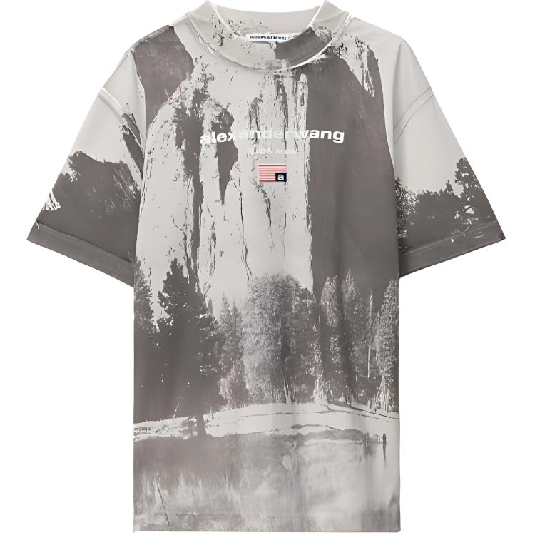 Alexander Wang SS21 Chapel Rock Graphic Tee Grey T-Shirt UCC2211419-020