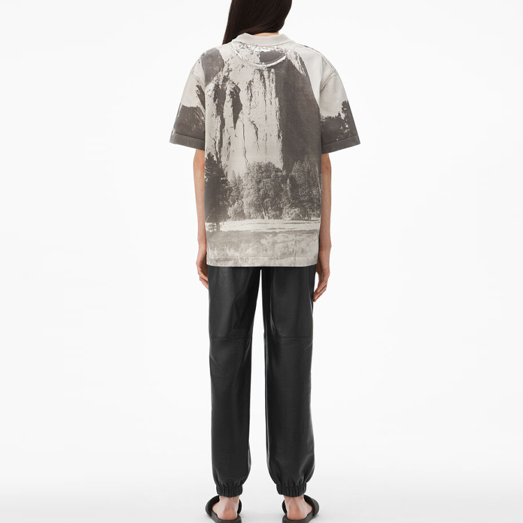 Shop Alexander Wang SS21 教堂岩圖案灰色短袖T恤 UCC2211419-020